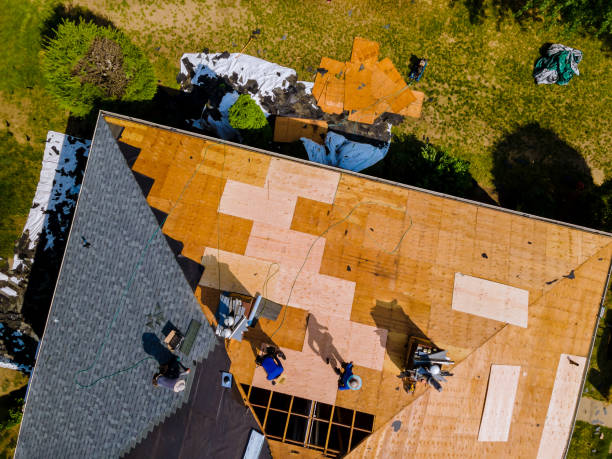 Quick and Trustworthy Emergency Roof Repair Services in Brighton, TN