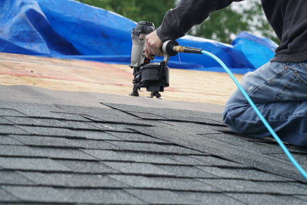 Best Storm Damage Roof Repair  in Brighton, TN